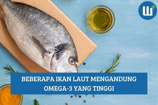 Beberapa Ikan Laut Mengandung Omega-3 yang Tinggi